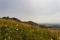 2018_08_07_Auvergne  (0017)